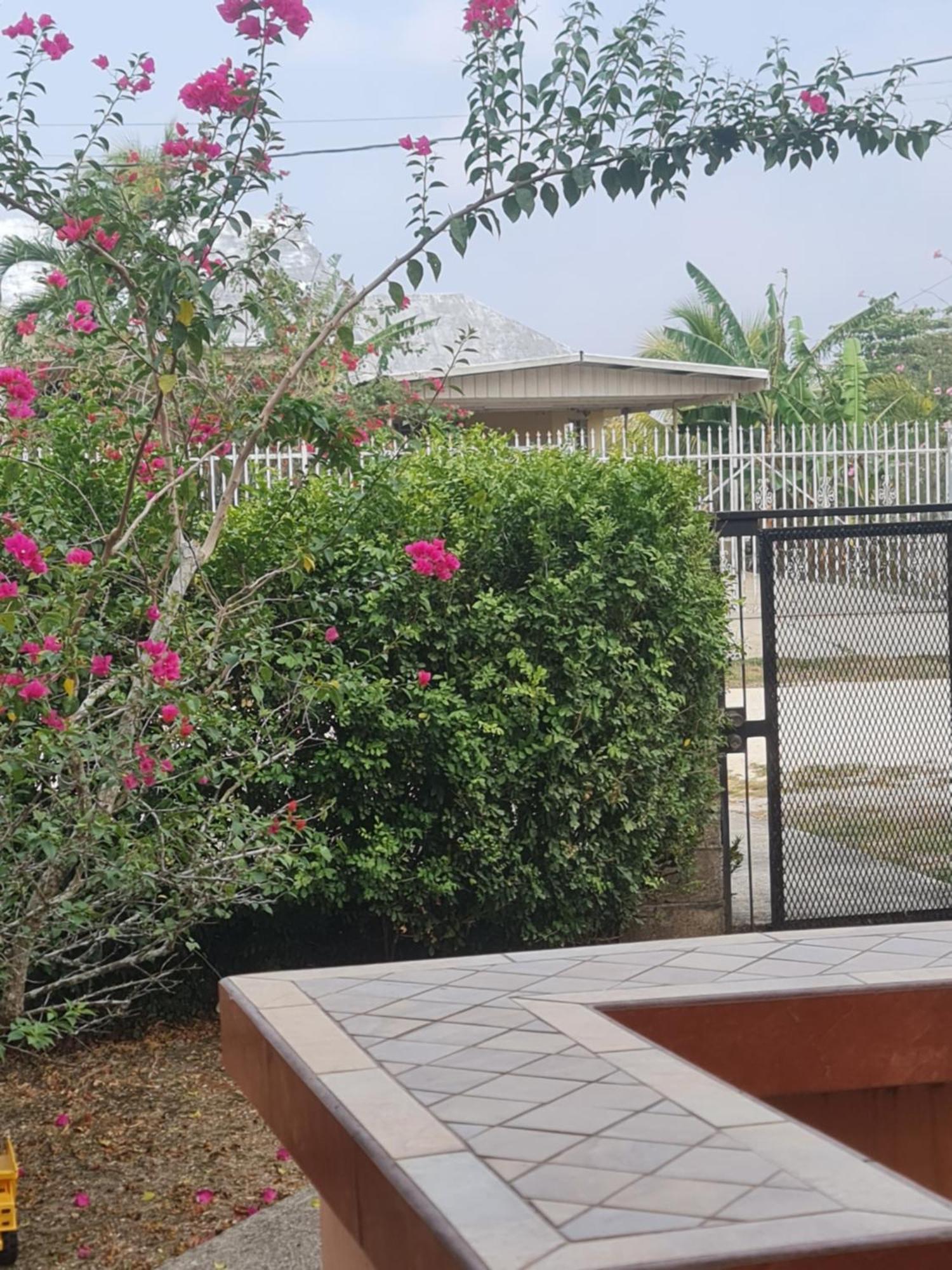 בלמופן Gm Suites Bed & Breakfast מראה חיצוני תמונה